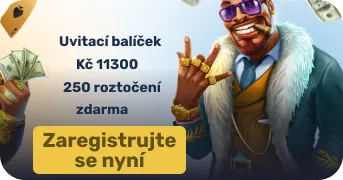 bdmbet